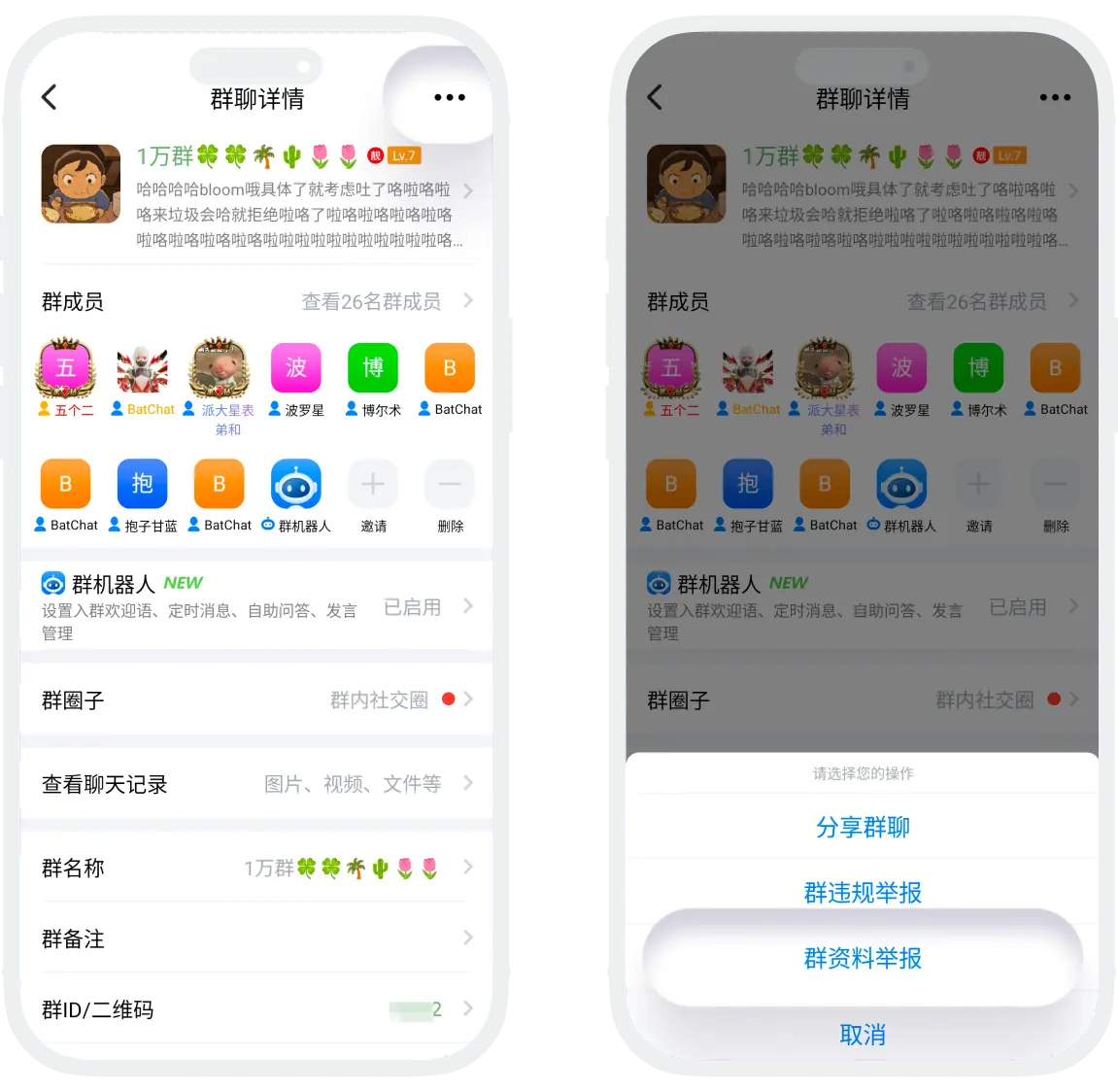 展示图片 2